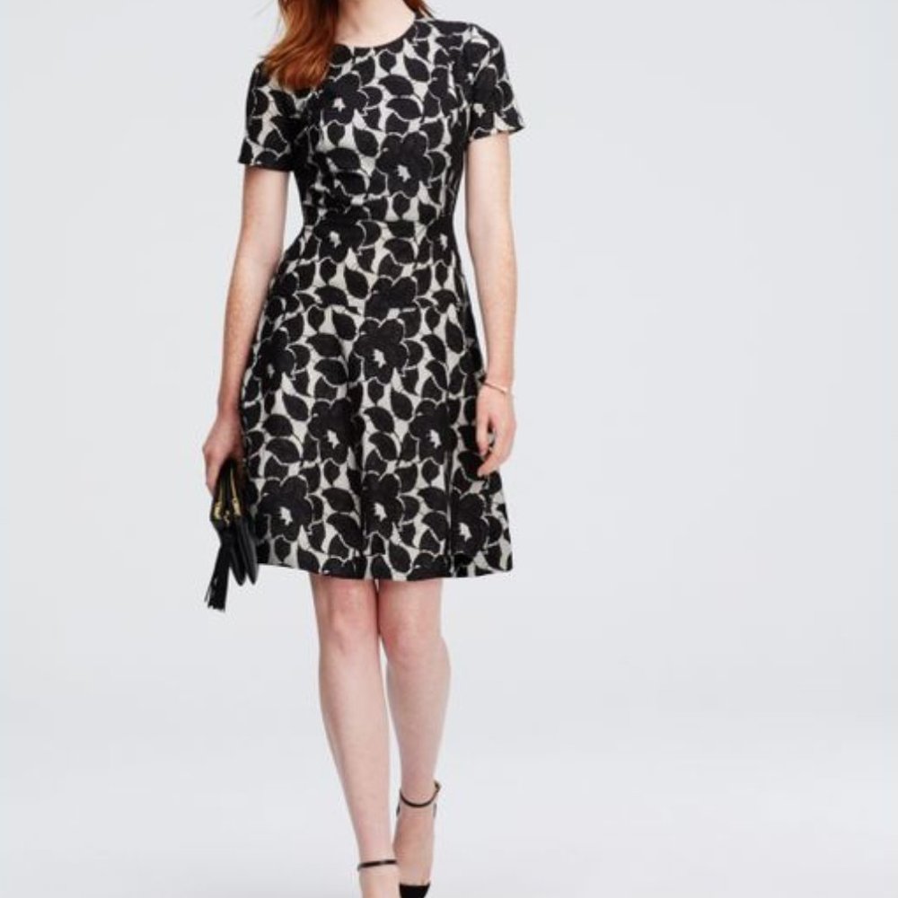 NWT Ann Taylor Bonded Lace Dress